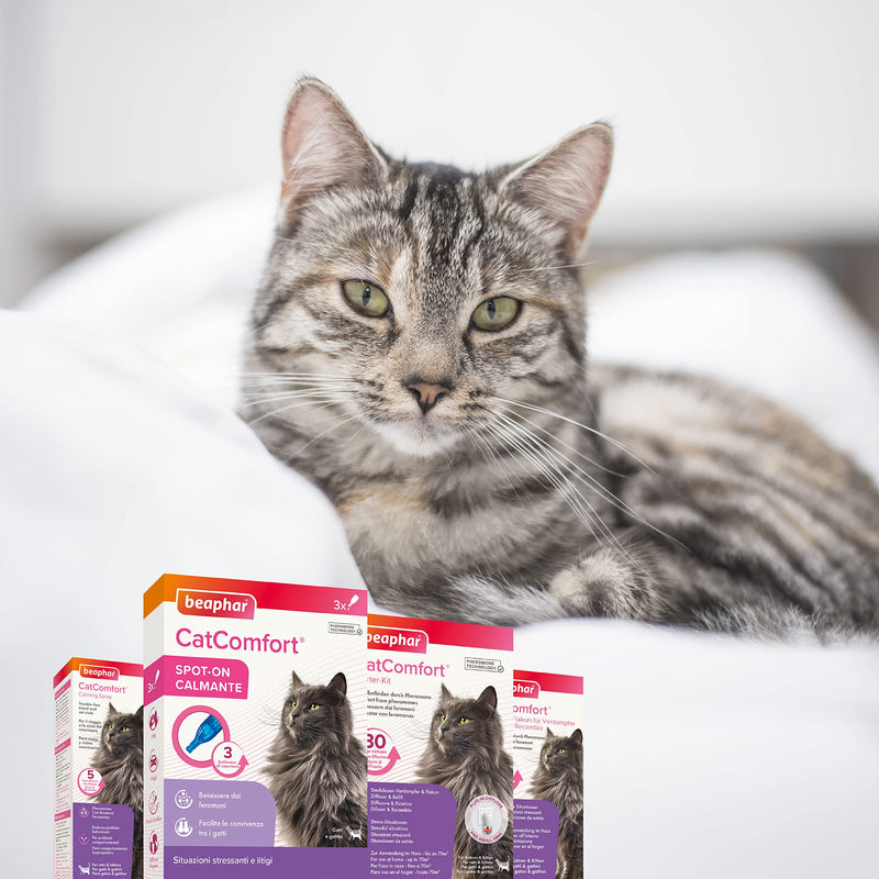 beaphar CatComfort refill bottle for vaporizer, calming agent for cats with pheromones - BeesActive Australia