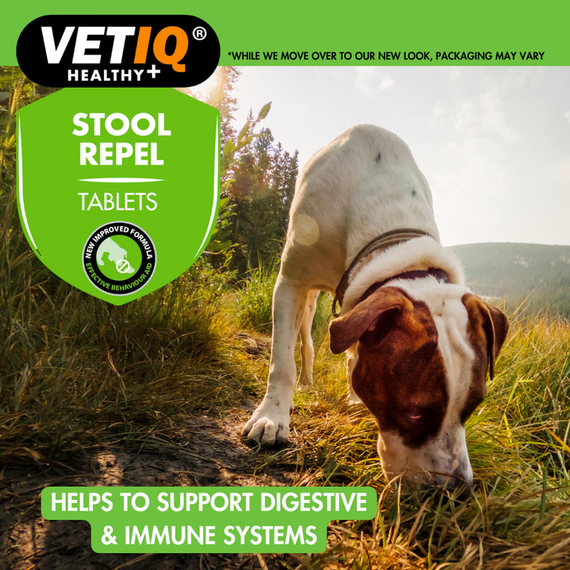 VETIQ Stool Repel Tablets, Natural Coprophagia Deterrent for Dogs Eating Poop, For Puppies & Adult Dogs, Supports Healthier Habits, Tasty & Chewable, 30 Tablets (Pack of 1)