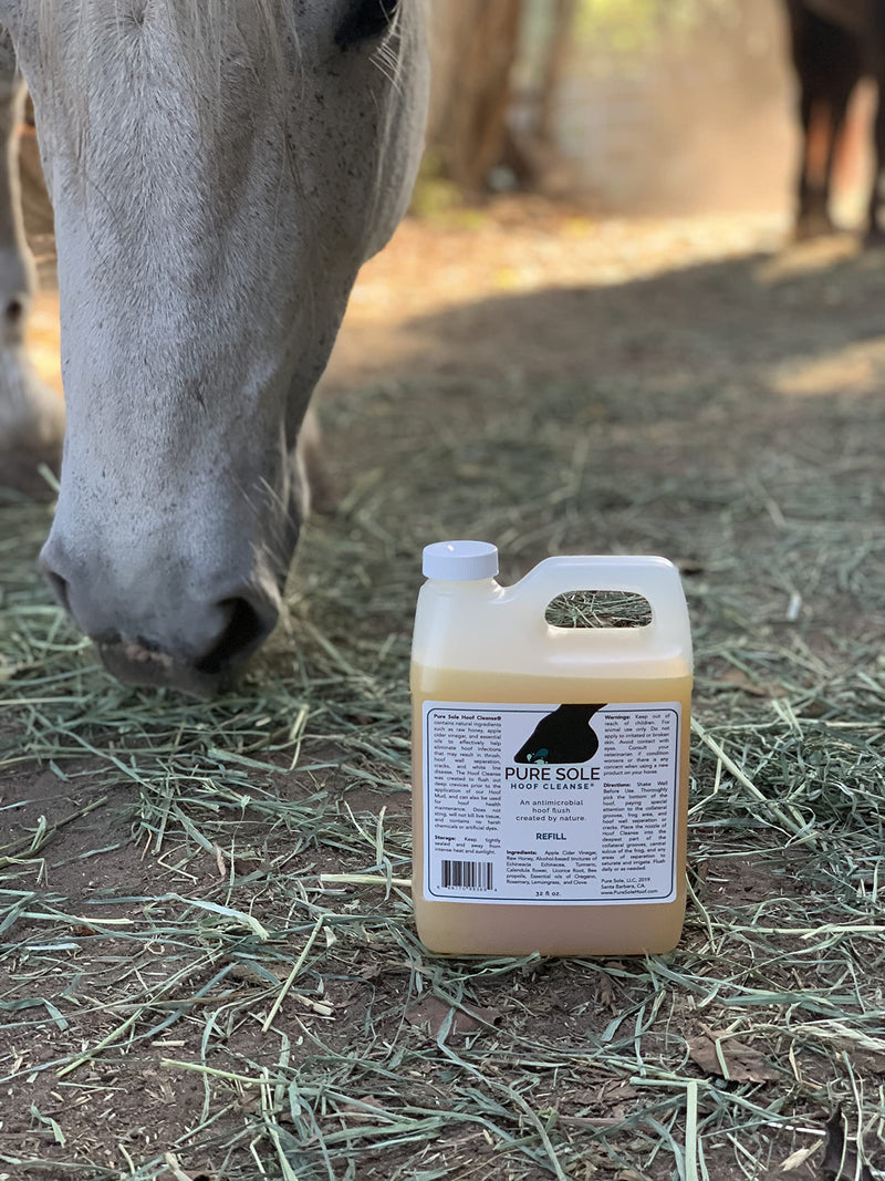 Horse Hoof Cleaner, Thrush and White Line Treatment for Horses, Hoof Cleanse, All Natural Horse Hoof Care Products to Maintain A Healthy Hoof 32oz refill - BeesActive Australia