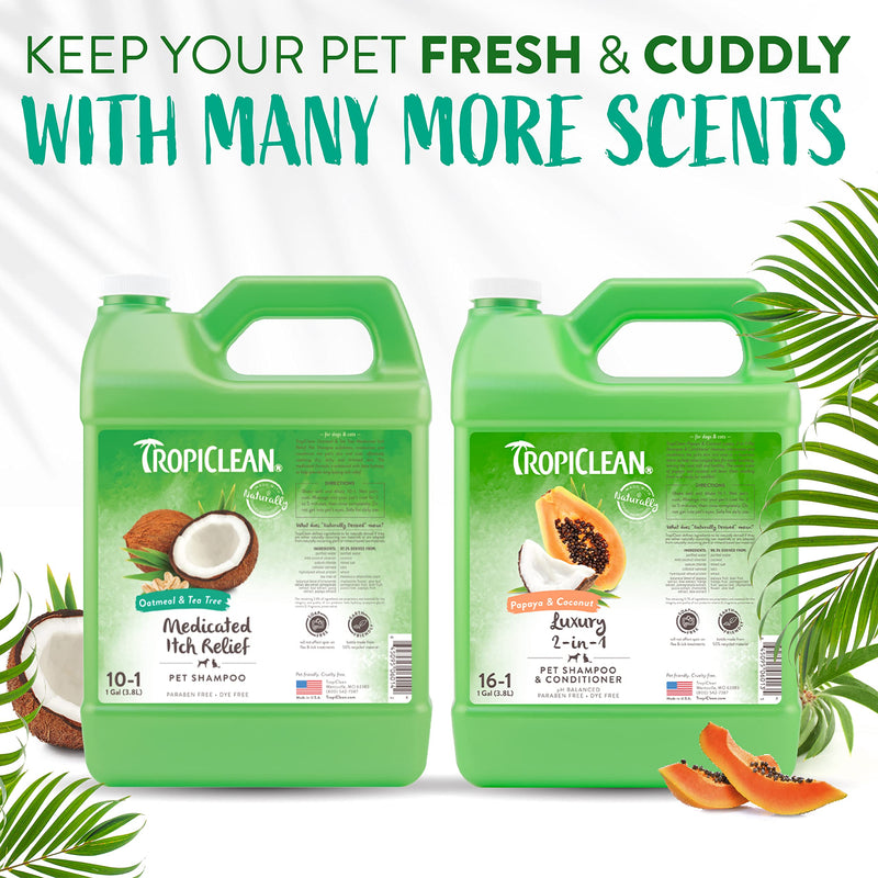 TropiClean Shampoo for Animals - Medicated Itch Relief - Exfoliates, Moisturizes & Soothes Dry, Itchy Skin & Coat I For Dogs & Cats I Parabens, Color and Soap Free - Oatmeal & Tea Tree, 3.78 L Oatmeal Medicated 3.78 liters of oats with medicine - BeesActive Australia