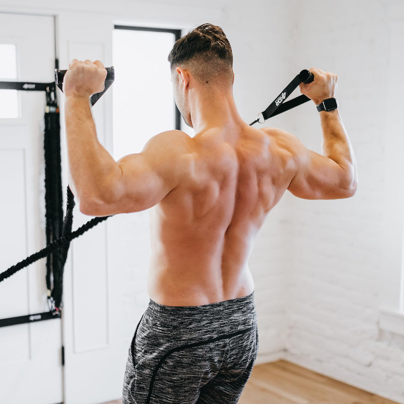 Resistance Cords - Shoulder and Core Resistance Bands - Perfect for Dynamic Warmups and Rehab - Deluxe Pair of 2 Black Cords and 2 Universal Handles - 4KOR Fitness 30 lbs - BeesActive Australia