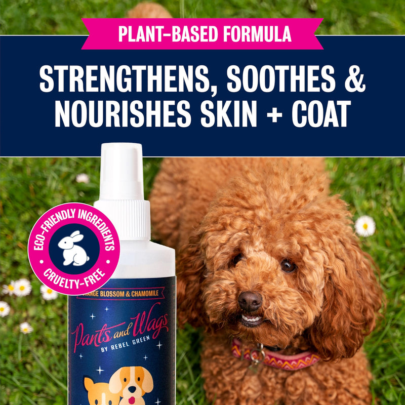 Rebel Green Pants & Wags Anti-Itch & Scratch Dematting Spray - Leave-in Detangler Spray for Dogs and Cats - Orange Blossom & Chamomile - Hypoallergenic - No Dyes or Perfumes - 8 oz - 2 Pack