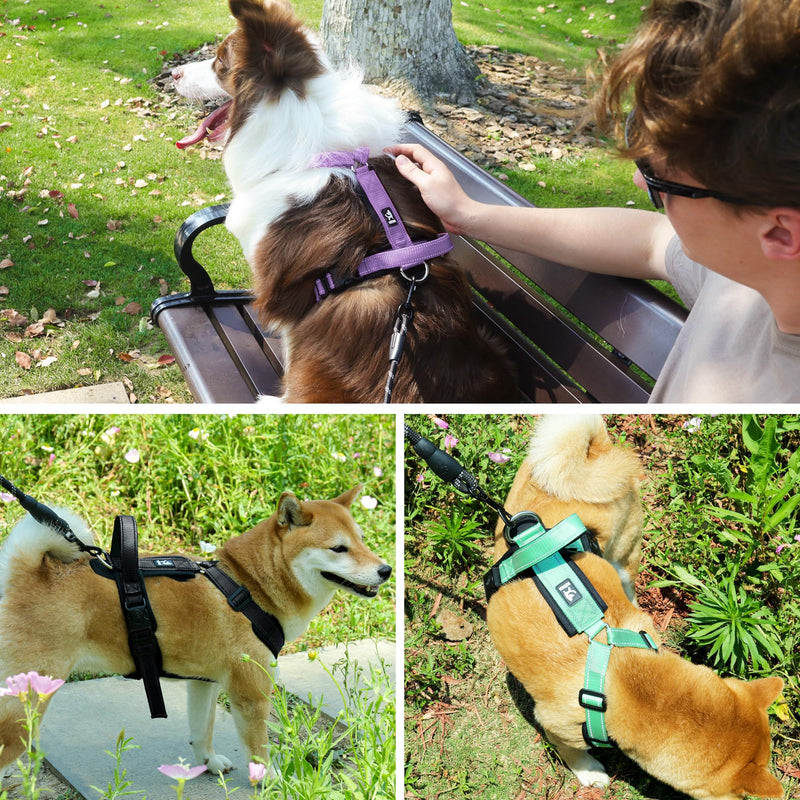 Patas Lague No Pull Dog Harness for Large Dogs, Soft Adjustable Step in No Choke Dog Harness and Leash Set, Reflective Solid Dog Vest Harness with Buckle Lock, Black XL - BeesActive Australia