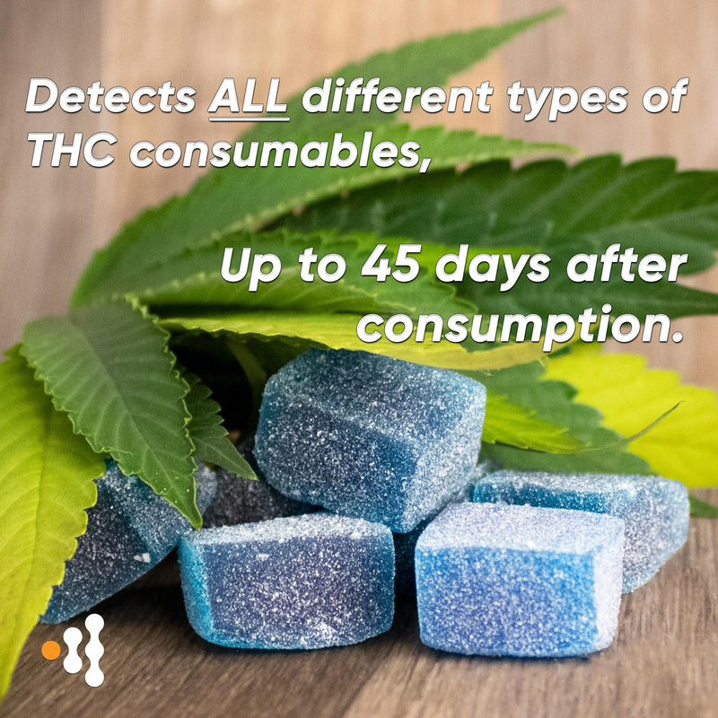 [10 Pack] Prime Screen THC Marijuana Drug Test Kit - Medically Approved Urine Drug Screening Test - Detects Any Form of THC Cannabis - WDTH-114 10 - BeesActive Australia