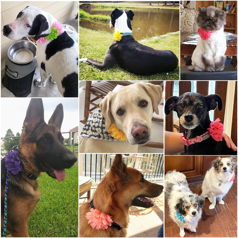 10 Pieces Dog Collar Flowers Accessories Girl Boy Dog Flower Bow Ties Cat Puppy Charms Flower Collars Bows Grooming Supplies (9 cm/ 3.54 Inch) 10pcs Flower 3.54" - BeesActive Australia