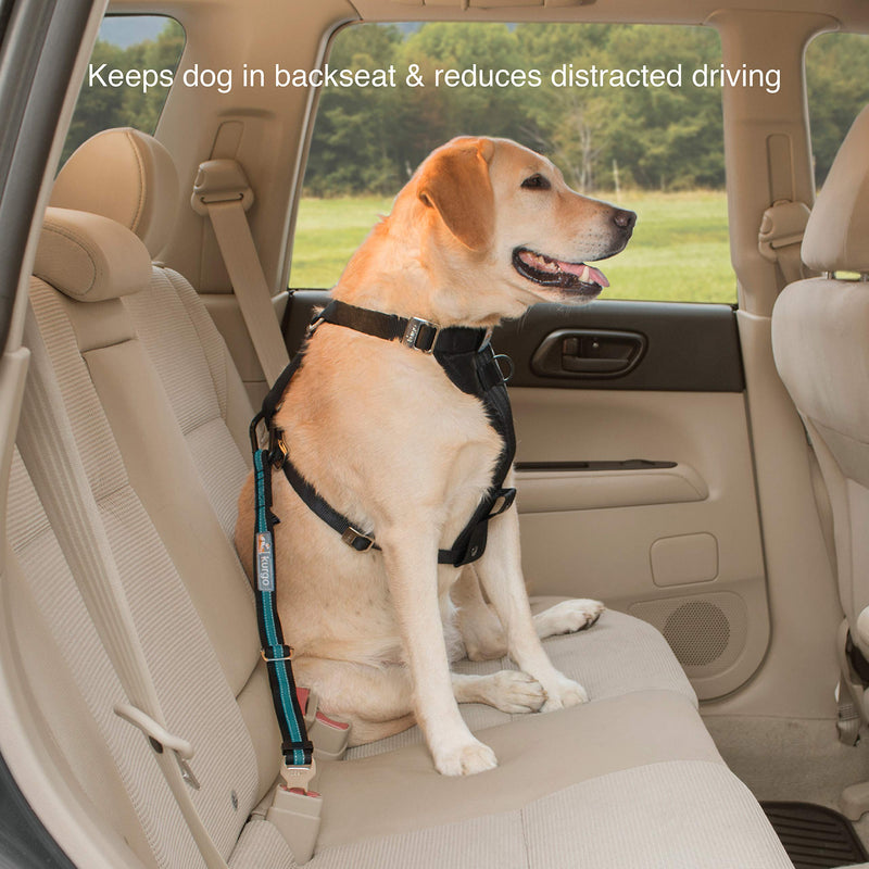 Kurgo Direct to Seatbelt Tether for Dogs, Car Seat Belt for Pets, Adjustable Dog Safety Belt Leash, Quick & Easy Installation, Works with Any Pet Harness, (Carabiner Clip, Coastal Blue) 1 Count (Pack of 1) Regular - BeesActive Australia