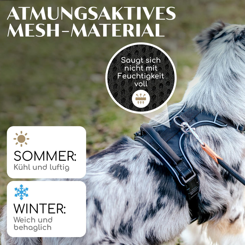 FREUDENTIER dog harness with comfortable mesh padding - perfect fit without slipping - anti-pull chest harness for large, medium and small dogs (Black, L) Black - BeesActive Australia