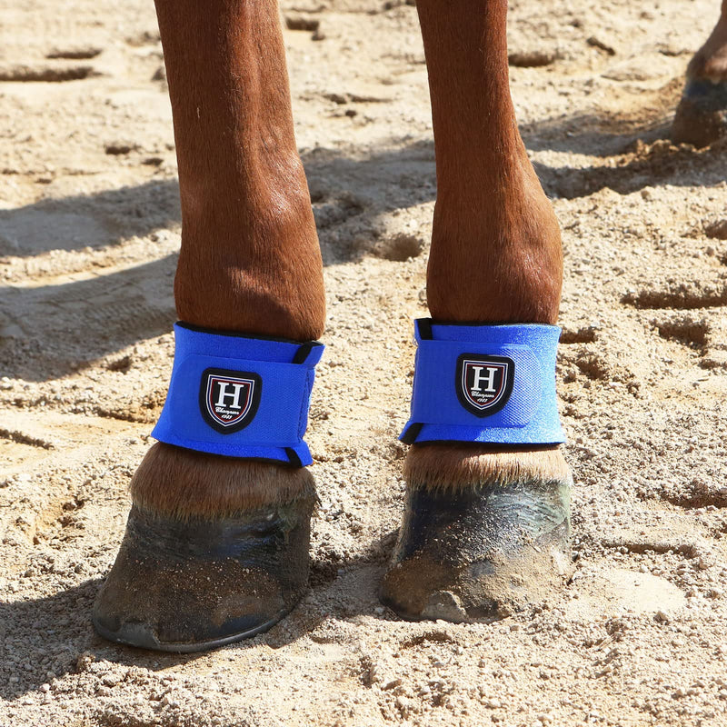 Harrison Howard Durable Shock-Absorbent Breathable Impact Protection Pastern Wraps for Horse in Pairs Blue - BeesActive Australia