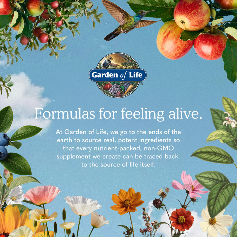 Garden of Life Organics Kids Gummy Vitamins - Fruit - Certified Organic, Non-GMO & Vegan Complete Children's Multi - B12, C & D3 - Gluten, Soy & Dairy Free, 120 Real Fruit Chew Gummies 120 Count (Pack of 1)