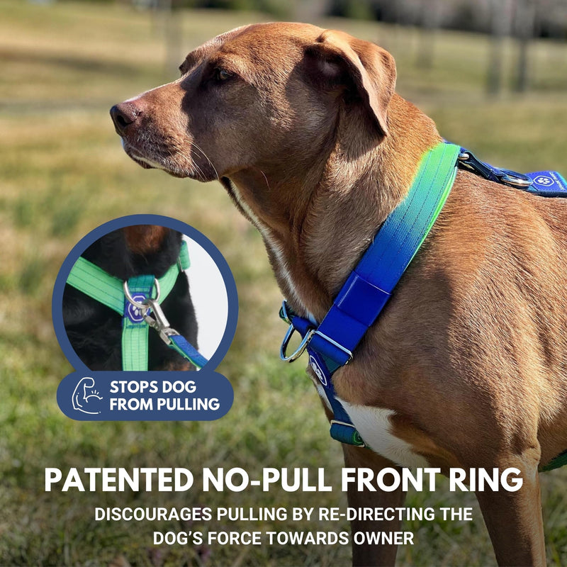 Spark Paws No-Pull Dog Harness - Designed for Safety and Control, Ideal for Large, Strong Breeds - Pitbulls, Boxers - Lime Wave - L Size L [80-150lbs] - BeesActive Australia