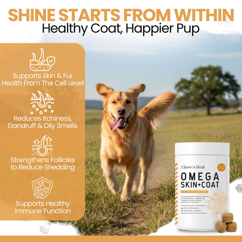 Omega 3 Fish Oil for Dogs - 180 Soft Chews - Itch Relief, Shedding & Hot Spots - Dog Allergy Relief - Salmon Oil Skin & Coat Supplement - EPA DHA - Chicken Flavor - Made in USA | Chew + Heal 180 Chews
