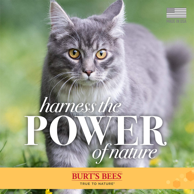 Burt's Bees for Pets Naturally Derived Kitten Tearless Shampoo with Buttermilk, Cat Shampoo, Kitten Shampoo for Cats - Cat Grooming Supplies, Cat Bath Supplies, 10 Fl Oz 10 Fl Oz (Pack of 1) - BeesActive Australia