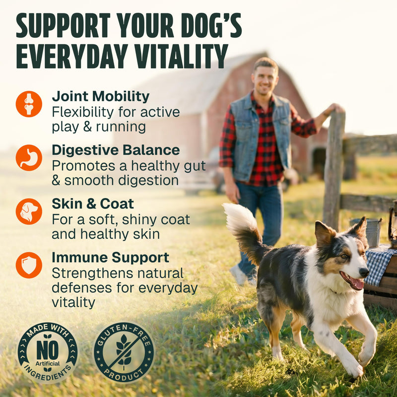 Dog Vitamins and Supplements 250 Chews - 26 in 1 Dog Multivitamin Soft Chews with Glucosamine, Chondroitin, Probiotics, Omega 3 - Hip & Joint, Skin & Coat, Immune Support - Chicken Flavor