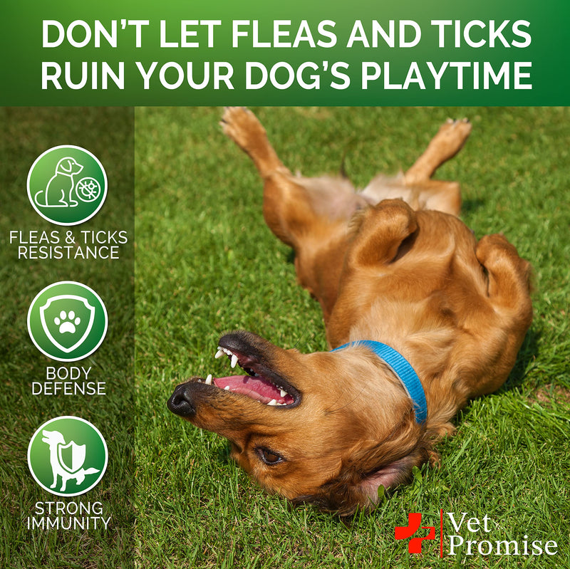 Flea and Tick Prevention for Dogs Chewables - All Natural Flea & Tick Control Chews - Oral Pills for Dogs Supplement - All Breeds and Ages - Made in USA - 120 Tablets Chicken 120 Chews - BeesActive Australia