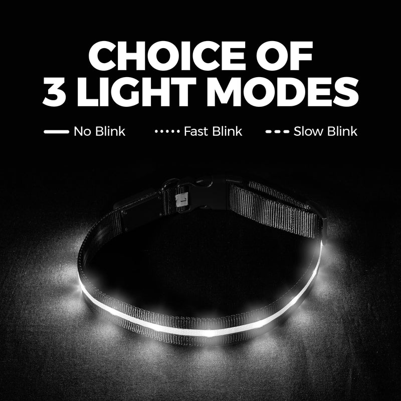 Blazin Brightest Light Up Dog Collars - The Original LED Dog Collar with 1,000 Feet of Visibility - USB Rechargeable Waterproof Dog Collar Light - Dog Lights for Night Walking - USA Brand Large (Pack of 1) Green - BeesActive Australia