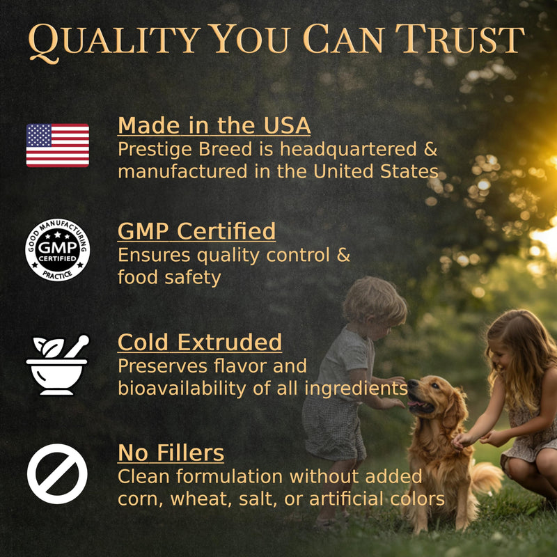 Multivitamins, Balanced Nutrition for Your Yorkie, 90 Count, Made in The USA with Real Bacon Yorkshire Terrier - PawsPlanet Australia