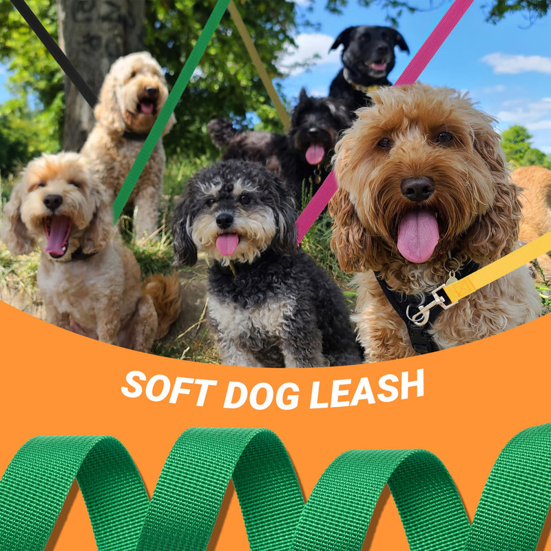 12 Pcs Dog Leashes for Small Medium Large Dogs, 6FT Lead Short Dog Leash with Swivel Hook for Walking, Training, Hiking, Rescues, Grooming, Shelter, Outdoor - BeesActive Australia