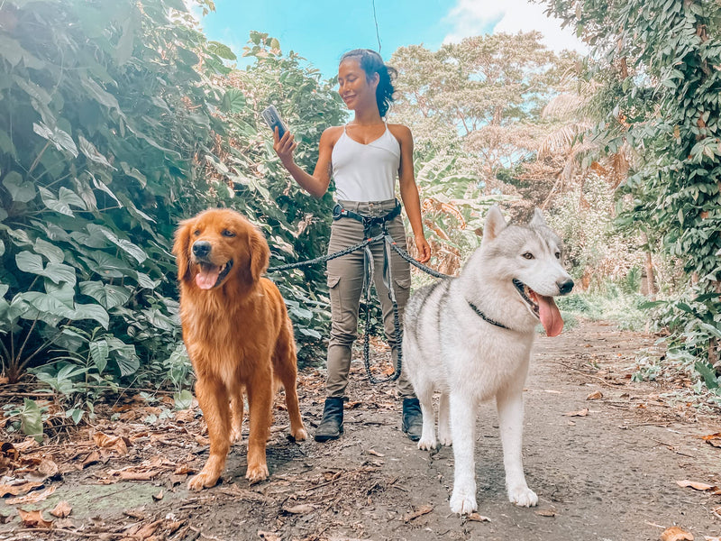 Add-On Accessory Bungee Leash and Hands Free Dog Leash - Two Large Dogs Up to 250 lbs