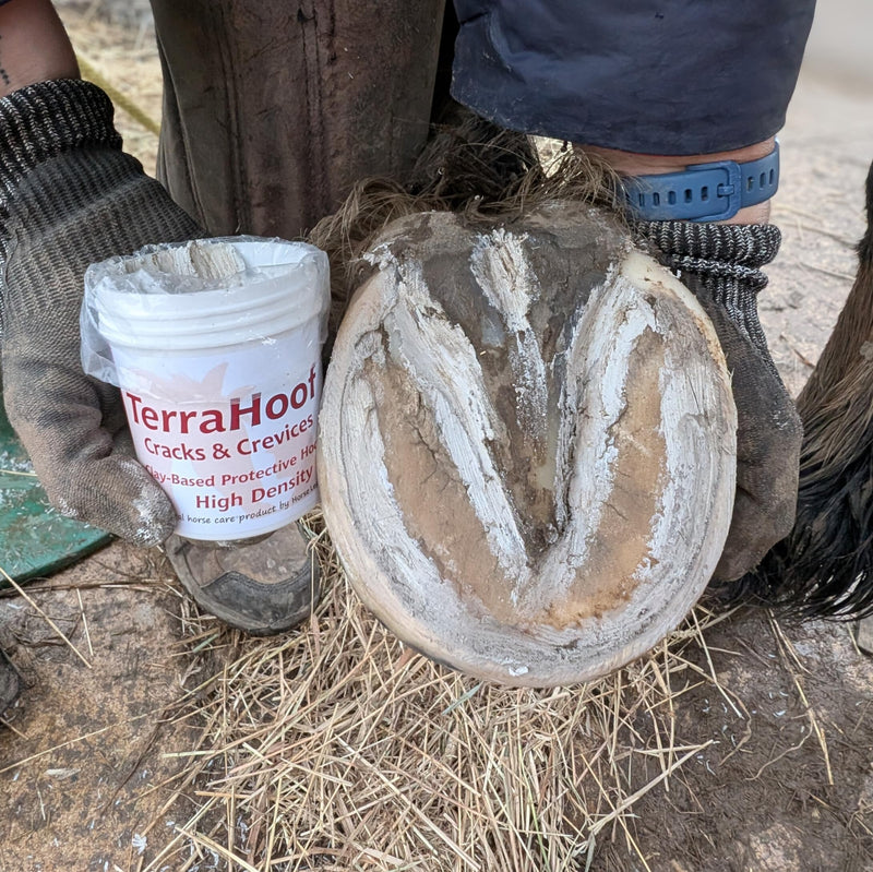TerraHoof Clay Based Hoof Putty (350, Grams) 350 Grams