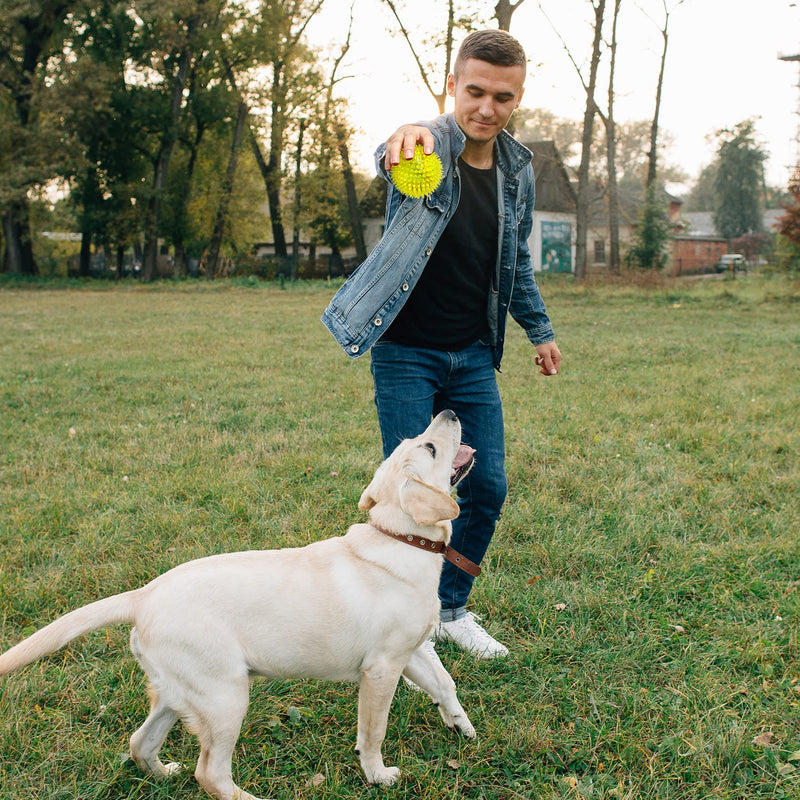 VITEVER 3.5” Squeaky Dog Toy Balls (6 Colors) Puppy Chew Toys for Teething, BPA Free Non-Toxic, Spikey Medium, Large & Small Dogs, Durable Aggressive Chewers Medium Set of 6 - BeesActive Australia