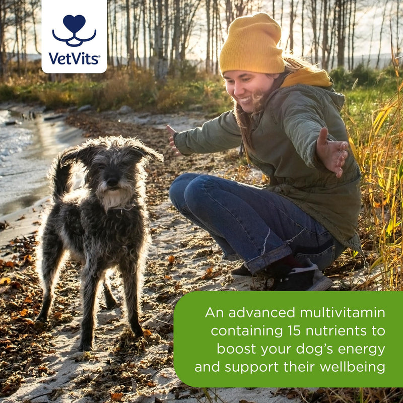 Multivitamin Senior (120 tablets) | Senior Advanced multivitamin for older dogs | Boosts energy and wellbeing | 15 essential nutrients | For energy, heart, joints and vitality