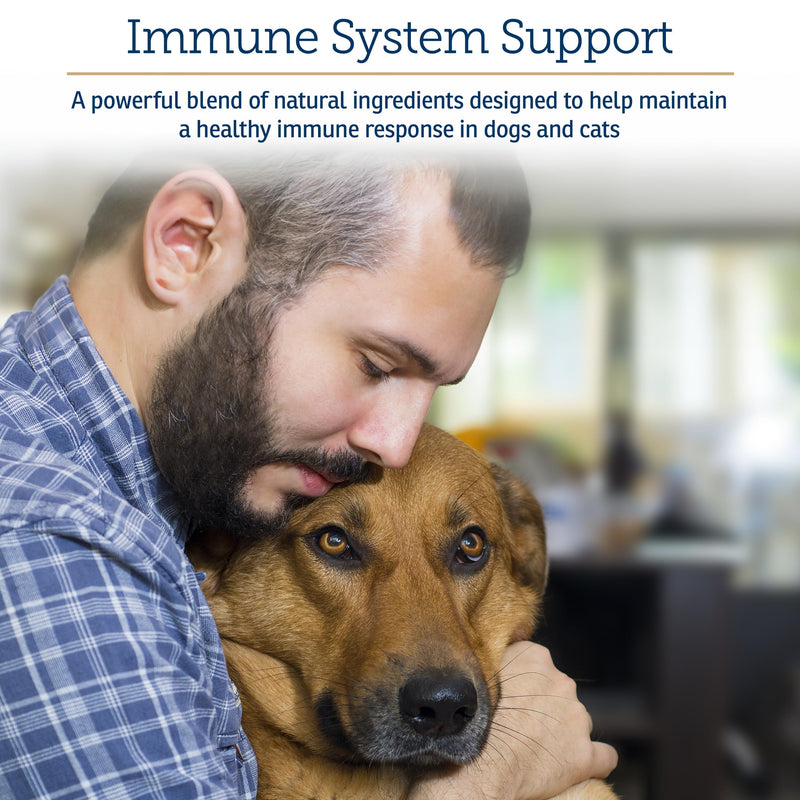 Rx Vitamins Onco Support - Dog & Cat Immune Support Supplement with Milk Thistle, Spirulina, Kelp Powder - Aids in Gut Health and Digestive Support - 300g New Label