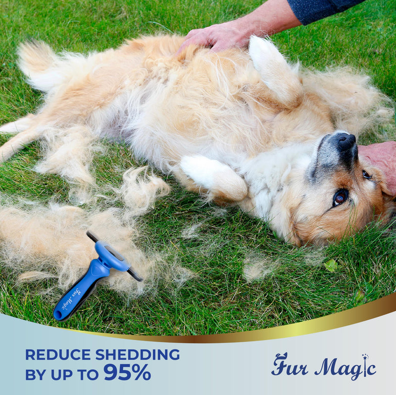 Large Deshedding Tool & Dematting Comb – Grooming Brushes for Dogs, Cats, Horses – Reduce Shedding and Remove Knots, Mats and Loose Undercoat Large - BeesActive Australia