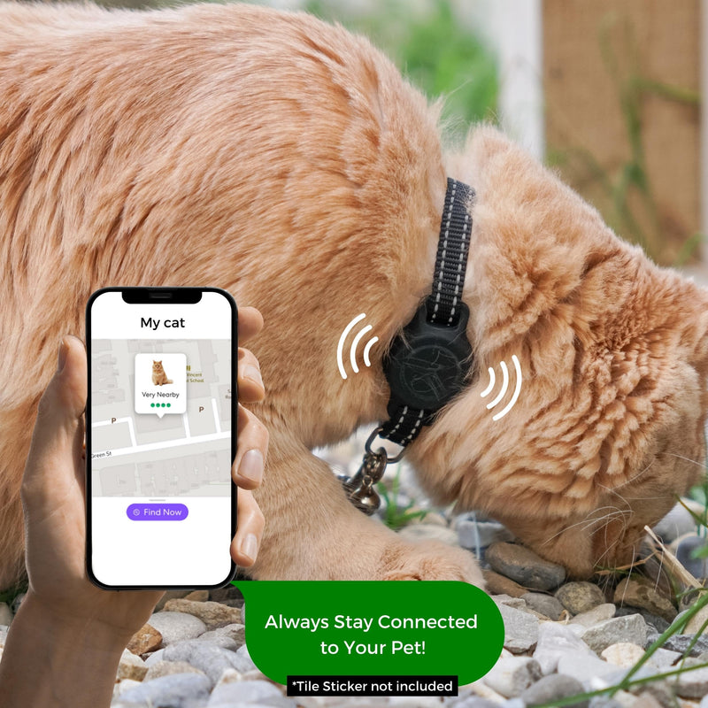 Tile Sticker Cat Collar Holder: The Smallest, Lightest, and Most Comfortable Tracking Case for Cats - Track Your Pet With iPhone Samsung Android Device - GPS For Boy Girl Kittens (Black) Black - BeesActive Australia