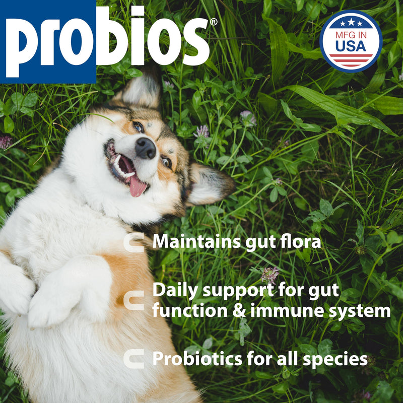 Probios Digestive Support Probiotic for Dogs, Horses, Cats, Gut Health Powder for All Species, Daily Supplement for Digestion Immune Support, 240 Grams (Pack of 2) 8.46 oz (Pack of 2)