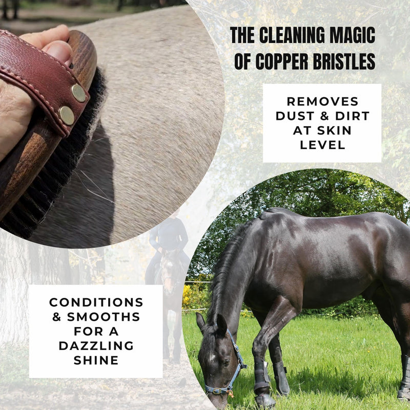 Horse Grooming Brush Set 2pcs; Multi Tasker Curry Comb & Copper Bristle Body Brush - BeesActive Australia