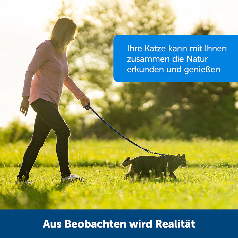 PetSafe Easy Walk Cat Harness, With Elastic Bungee Leash, For Walking Your Cat, Size M, Blue, CWMK-M-RYL-19 - BeesActive Australia