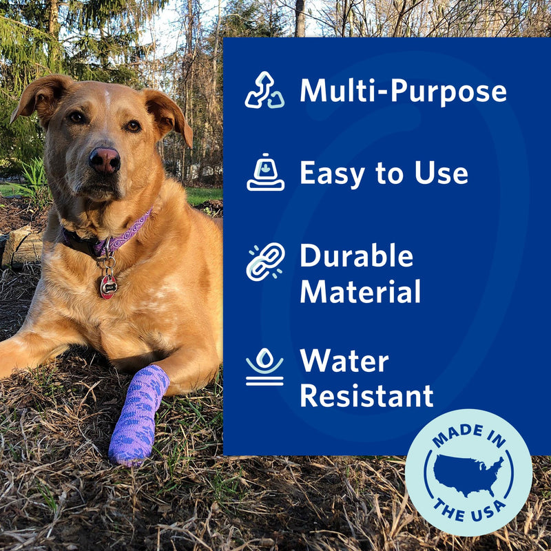 PetFlex Pet Pack – Flexible Self-Adhering Elastic Bandage for Wound Care – First Aid Wrap for Small Animals Like Dogs, Cats, and Other Pets - 2 inch, 6 Rolls 6 Count - BeesActive Australia