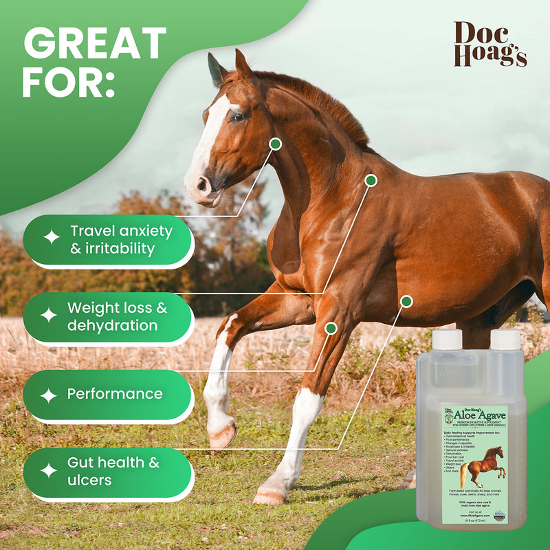 Original Udder Balm Doc Hoag’s Aloe Vera+Agave Premium Horse Supplement for Gut Health, Natural Equine Gastric Support & Stress Relief, Support Ulcer Improvement for Horses and Other Large Animals 16 Fl Oz - BeesActive Australia