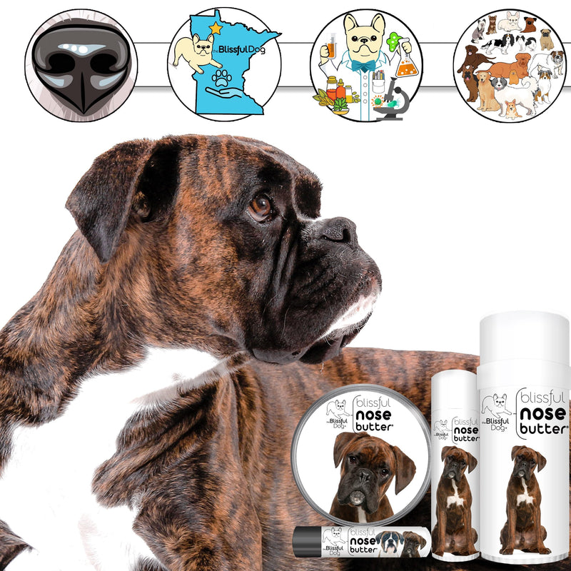 The Blissful Dog Brindle Boxer Nose Butter, Versatile Dog Nose Balm for Dry Nose, Handcrafted Nose Moisturizer, Easy-to-Apply Dog Essentials, Unscented, 1 oz.
