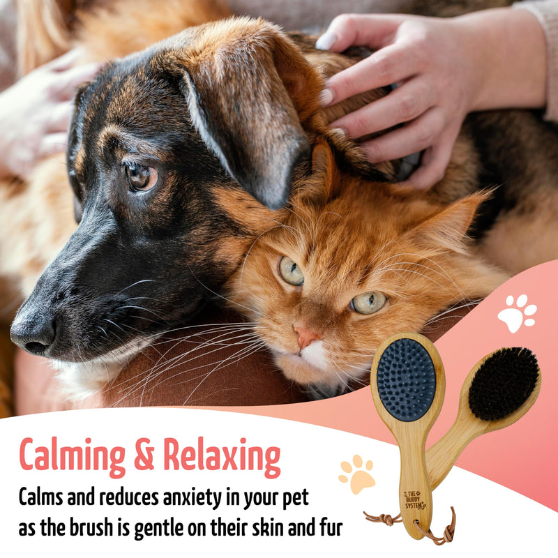 The Buddy System Combo Bristle Pet Brush, 2-in-1 Brush, Durable Rubber Side and Soft Boar Bristle Side - All Pets and Coat Lengths - Top Coat Massage for Cats & Dogs - 1 pack 1-pack Combo Brush - BeesActive Australia