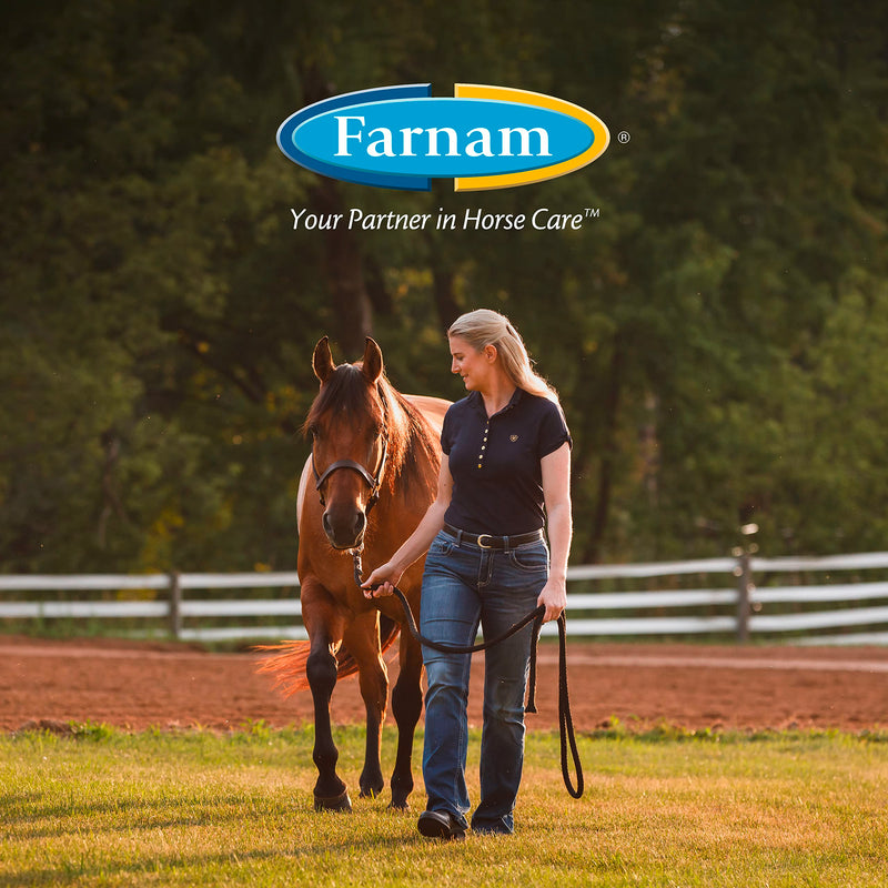 Farnam SuperMask II Fly Mask without Ears for Larger Horses, Full Face Coverage and Eye Protection from Insect Pests, Structured Classic Styling Mesh with Plush Trim, XL Size X-Large - BeesActive Australia