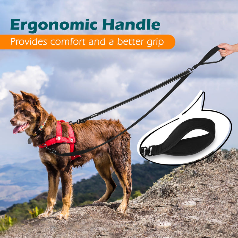PetBonus Two Point Control Dog Leash, Works with No Pull Harnesses, No Tangle Dog Training Leashes, No Pull Padded and Reflective Walking Lead, Converts to Single Leash for Medium Large Dogs Black - BeesActive Australia