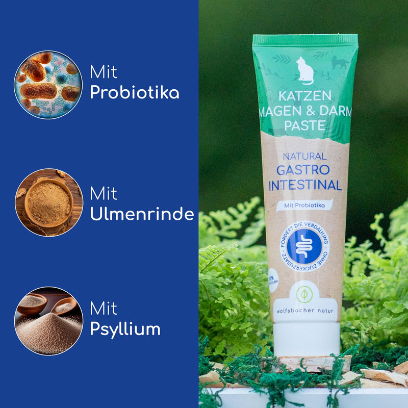 Natural gastrointestinal paste for cats - cat snack with probiotics and elm bark - supports digestion and intestinal flora, gastro intestinal paste - BeesActive Australia