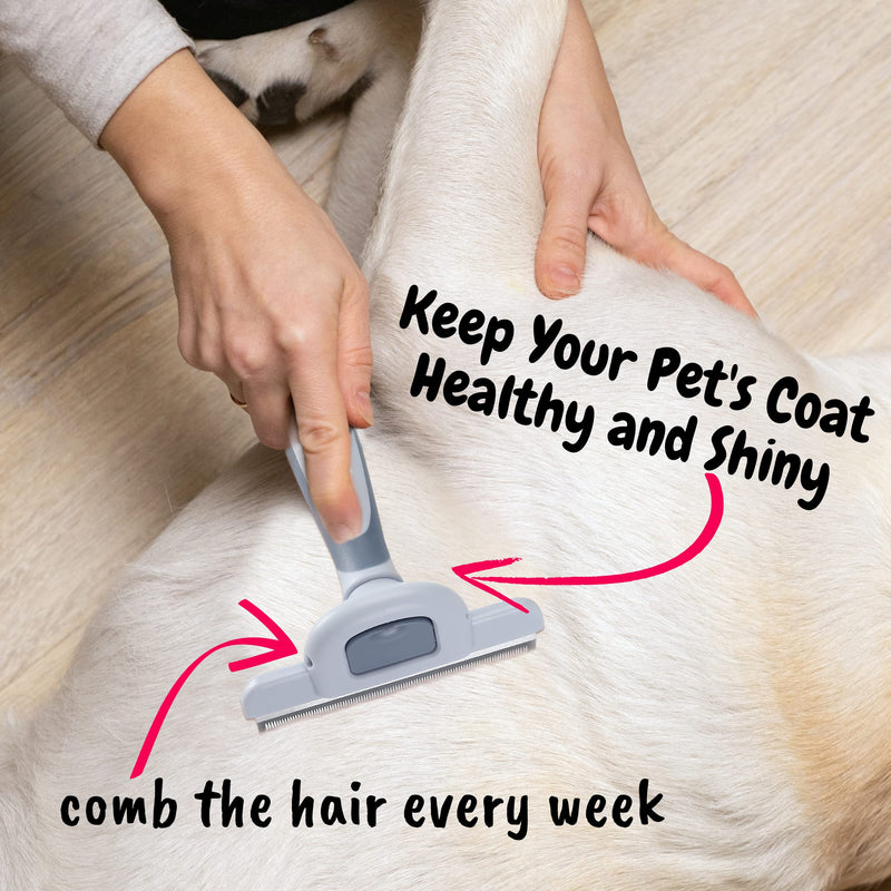 Mr. Pen- Dog Brush for Shedding, Stainless Steel Blade, Pet Grooming Brush, Dog Shedding Brush, Cat Brush for Shedding, Dog Grooming Brush, Dog Deshedding Brush, Cat Grooming Brush, Cat Shedding Brush - BeesActive Australia