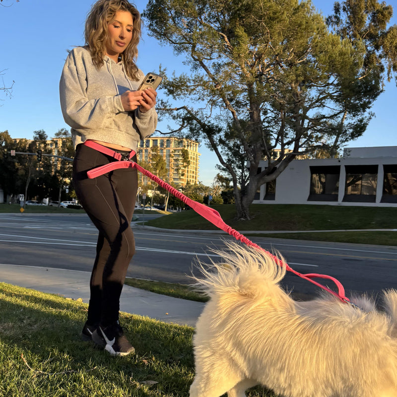Shed Defender Hands Free Dog Leash Belt - Seen on Shark Tank - Attaches to Any Leash, Jogging & Running, Heavy Duty Buckle, Reflective Stitching, Adjustable one Size fits All, Designed in USA (Black) Black