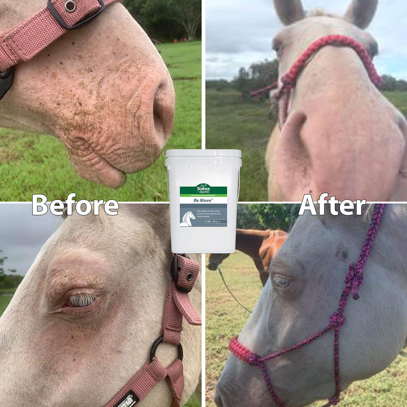 Stance Equitec Re Move - Horse Supplements That Support The Body's Normal Process to Remove Ingested Toxins, Contains Probiotics - 1.8 lb - BeesActive Australia