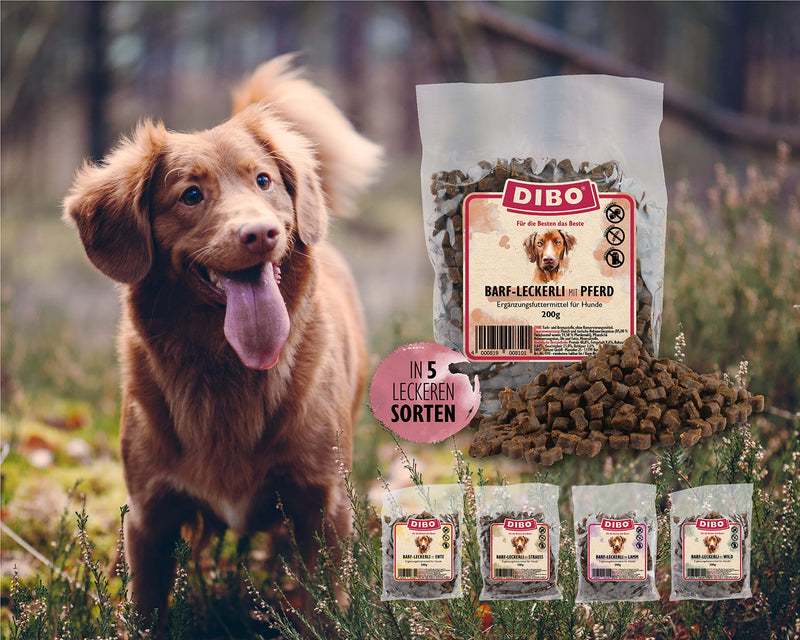 DIBO Barf treats with horse - the perfect training snack in a 200 g bag 200 g (pack of 1)