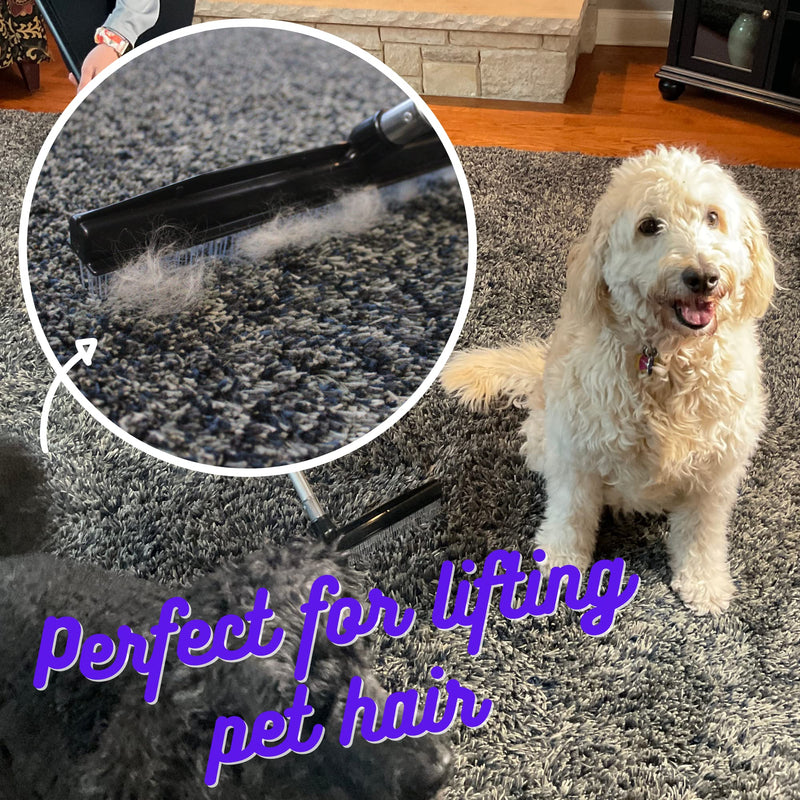 Room Groom PET Carpet Rake and Groomer with Telescoping 54 Inch Adjustable Handle, Rugs, and Artificial Turf, Purple Grip, Black/Purple - BeesActive Australia