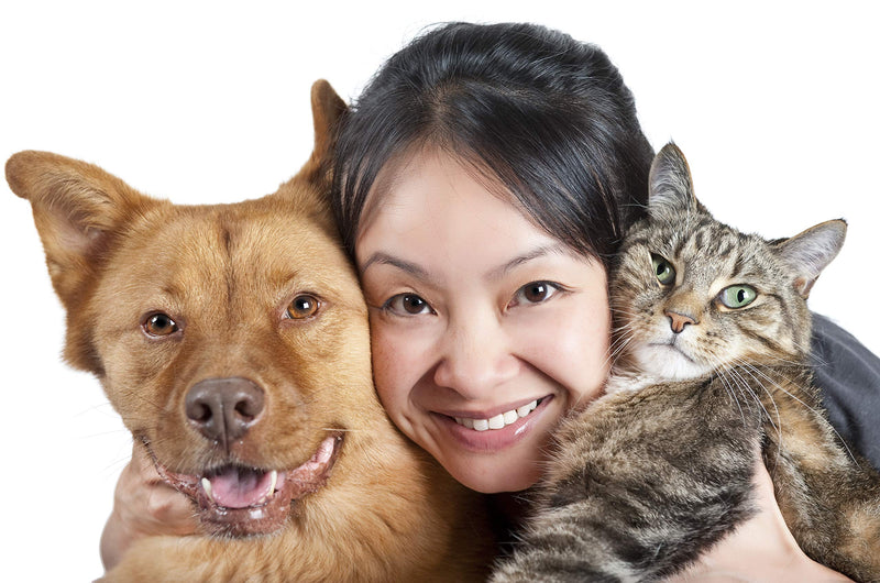 Allergone Allerpet/cat solution for cat allergies - BeesActive Australia