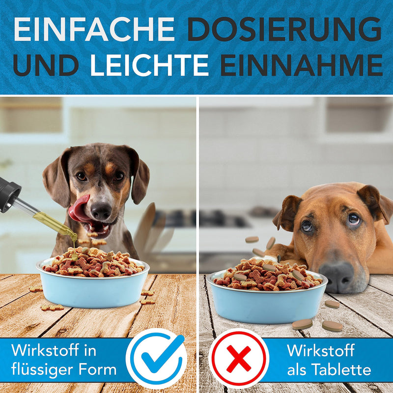 ENEMEL® Vitamin B Complex for Dogs [100ml] | Innovation through drops | Vitamin B Dog | all B vitamins included | Made in Germany 100ml - BeesActive Australia