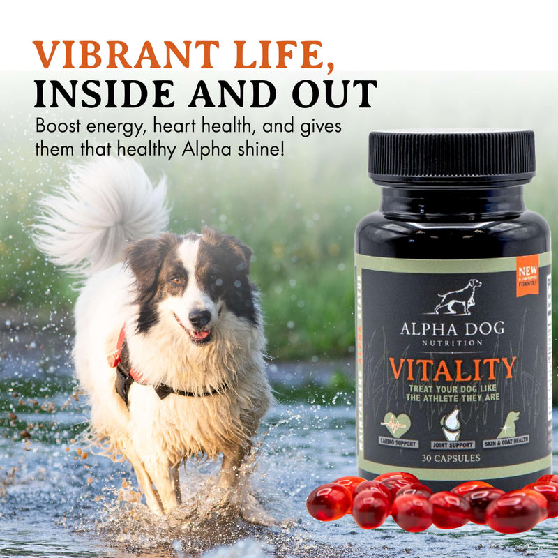 Krill Oil for Dogs - Vitality by Alpha Dog Nutrition – Reduces Dog Allergies, Itchiness, & Shedding – Promotes Healthy Skin and Coat - PawsPlanet Australia