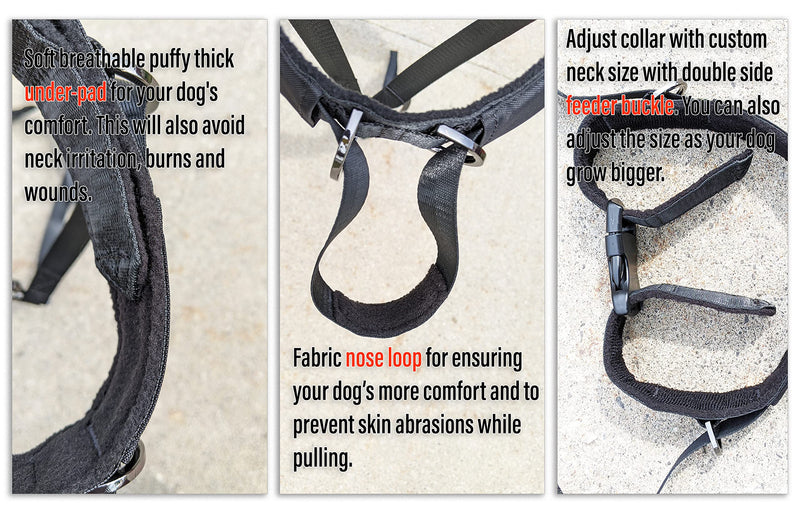 Dog Headcollar for Pulling Dogs, No-Pull Dog Collar for Large or Small Dogs. Makes Your Walking Easy and Peaceful. Stops Pulling, Lunging, Jumping; Dog Headcollar No Pull (M) Medium (M) - BeesActive Australia