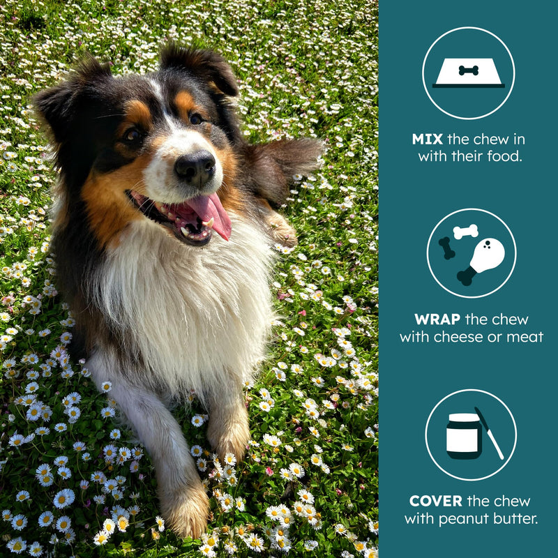 PetHeal Allergy Guard Chews for Dogs - Vet-Reviewed - Reduces Itching & Supports Immune, Gut, Skin & Coat Health with Colostrum, Salmon Oil & Probiotics | 30 Pork-Flavored Soft Chews