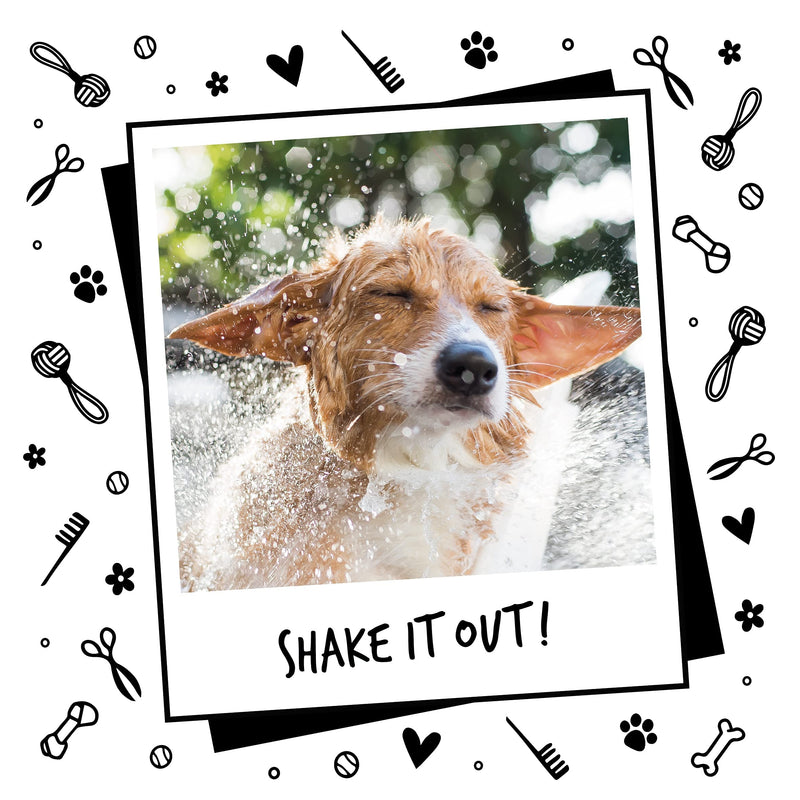 Dog Shampoo by Bugalugs lavender & chamomile 4 in 1 dog grooming shampoo products for smelly dogs with fragrance, best puppy shampoo, Vegan pet shampoo & conditioner 16.85 Fl - BeesActive Australia