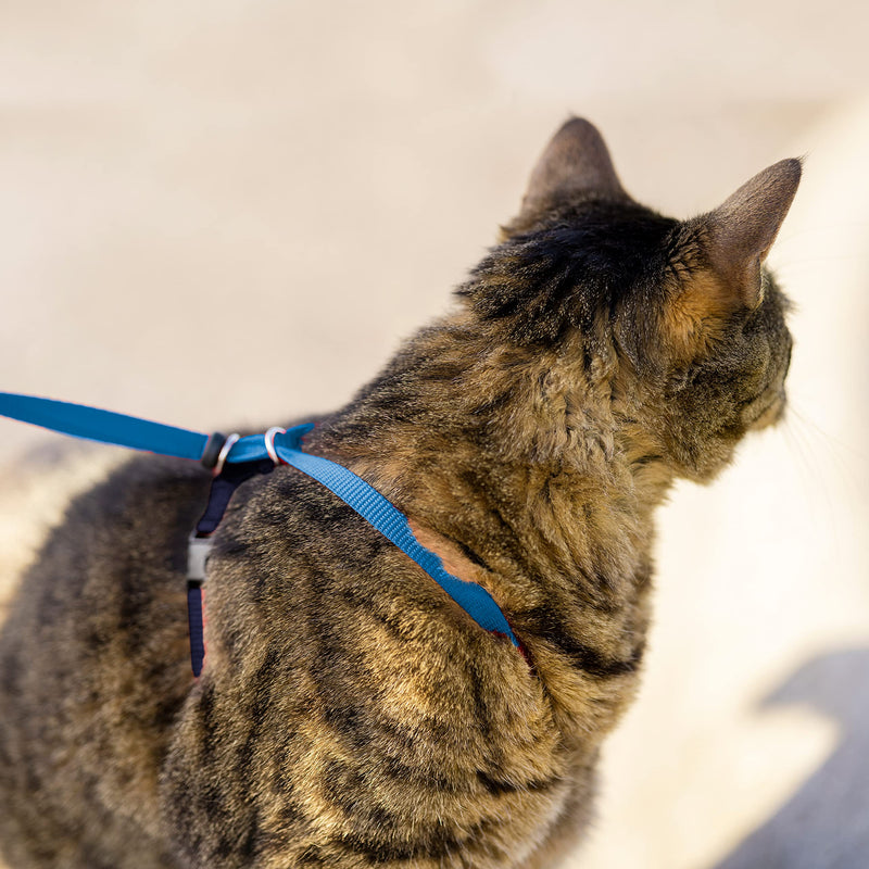 PetSafe Easy Walk Cat Harness, With Elastic Bungee Leash, For Walking Your Cat, Size M, Blue, CWMK-M-RYL-19 - BeesActive Australia